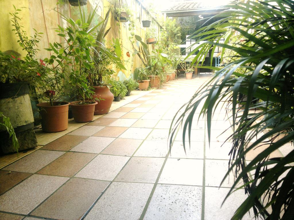 Pousada Flor Amarela Balneário Camboriú Exteriör bild